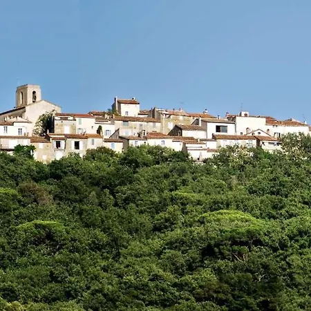 Charming House With Rooftop - *