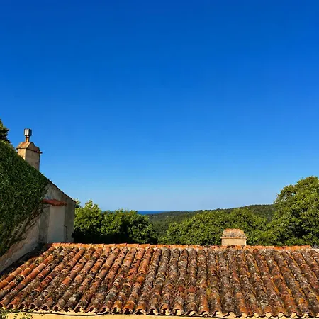 Charming House With Rooftop -